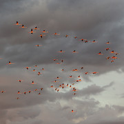 IMG-2337