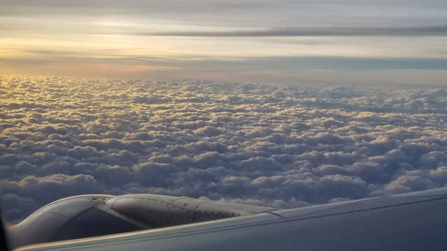20231126-170850.jpg