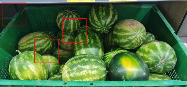 marked-watermelons