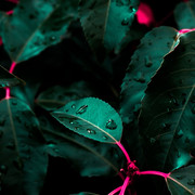 wallpaperbetter-com-1920x1080tfyftyfty