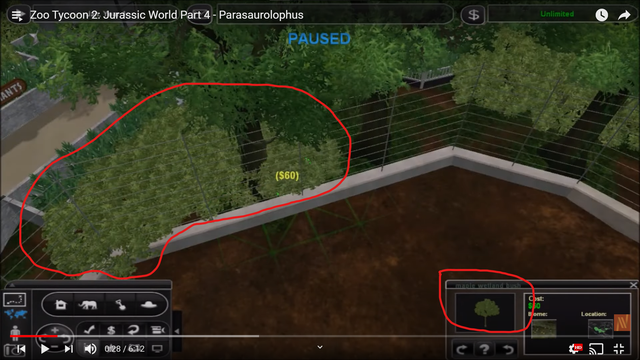 Bush