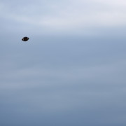 IMG-2154