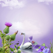 nature-Fantasy-swans