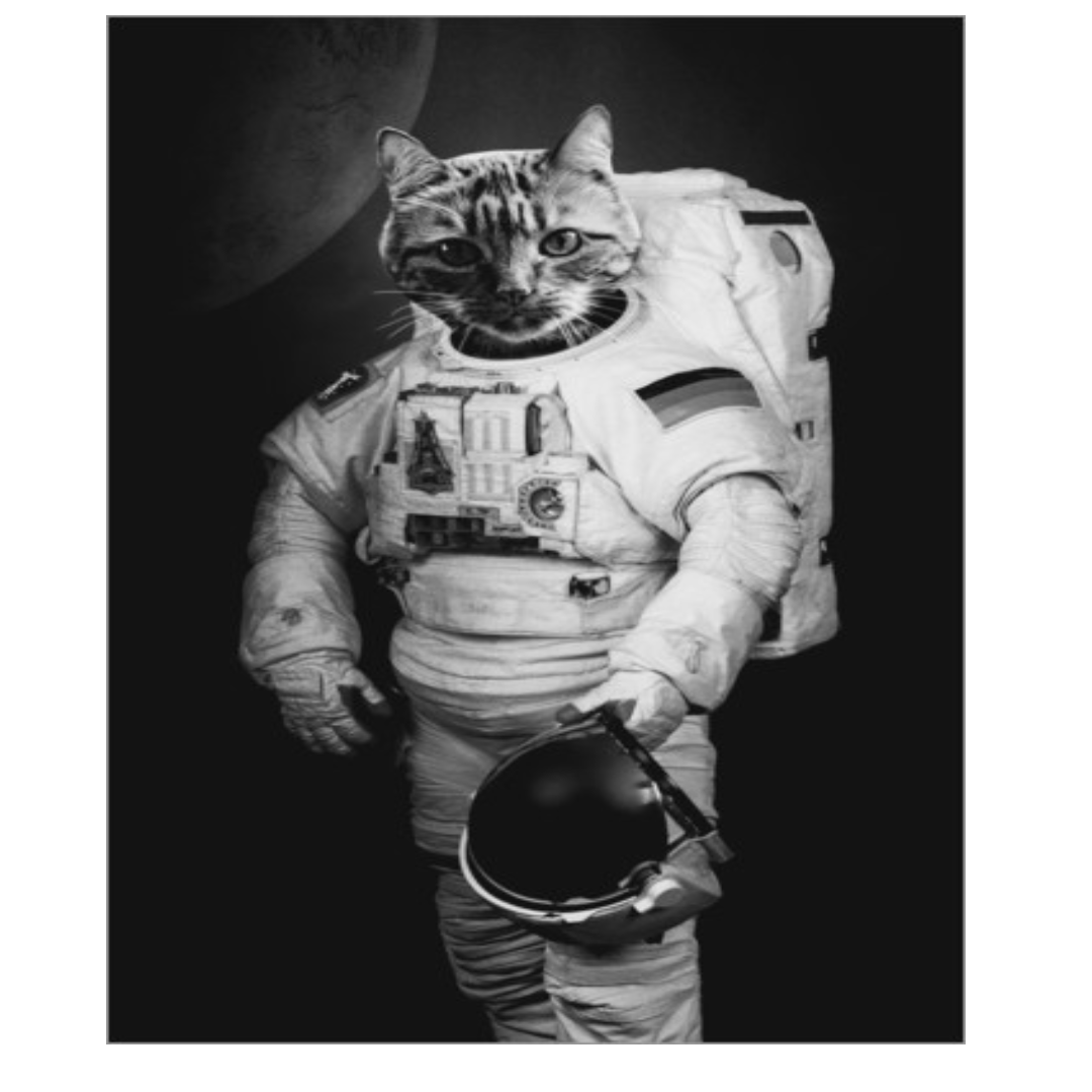 astrocat.eth Ethereum Name Service (ENS and .eth domain) PFP
