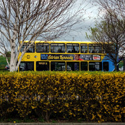 DSCF2588sq