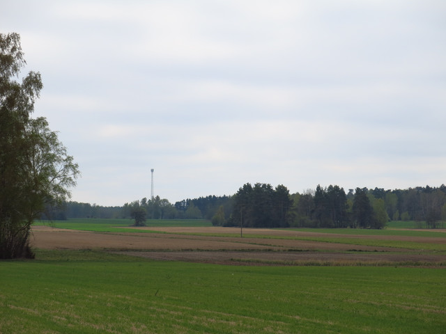 IMG-1774