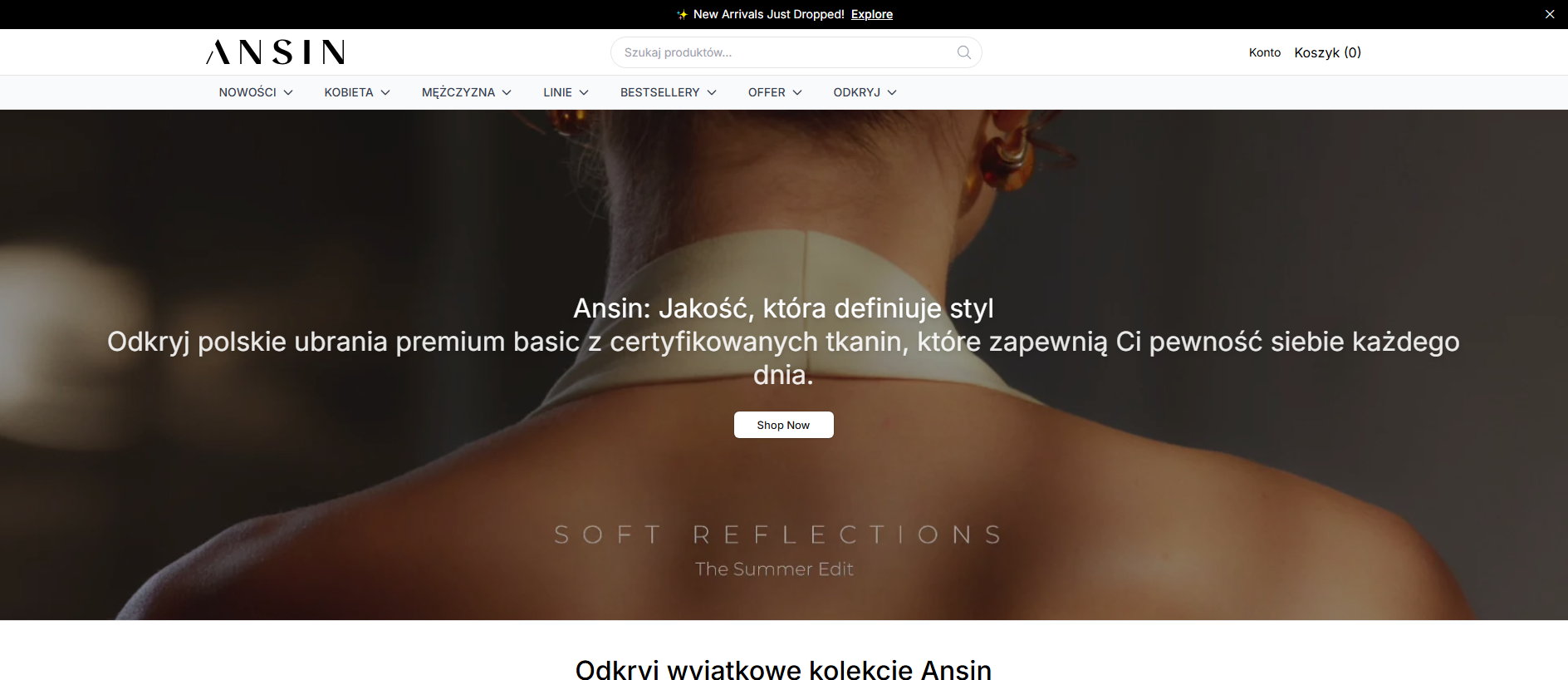 Stored capture of ansinstudio.shop