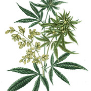 4534a94936fda51116072c3ddaae1d7c