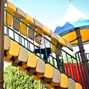 Pic-20