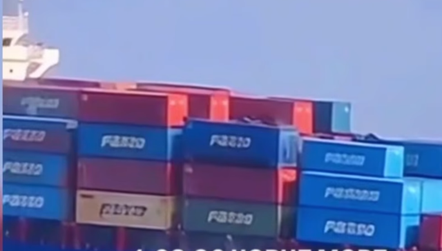 https://i.ibb.co/MDC3vbZJ/image.png