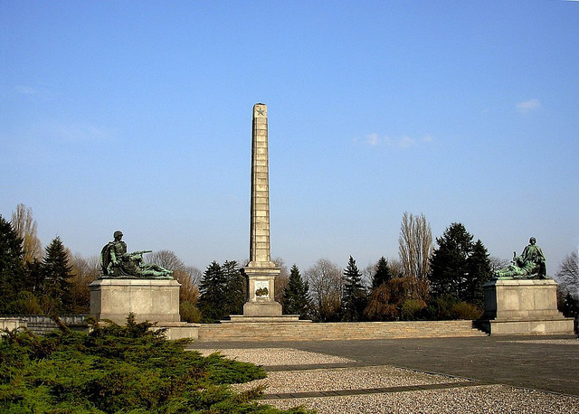 https://i.ibb.co/MDFhjTdN/image.jpg