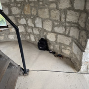 IMG 1265