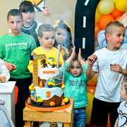 Pic 295