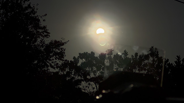 IMG 8542 2.jpg