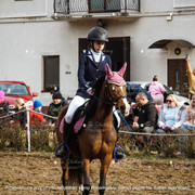 DSC01317