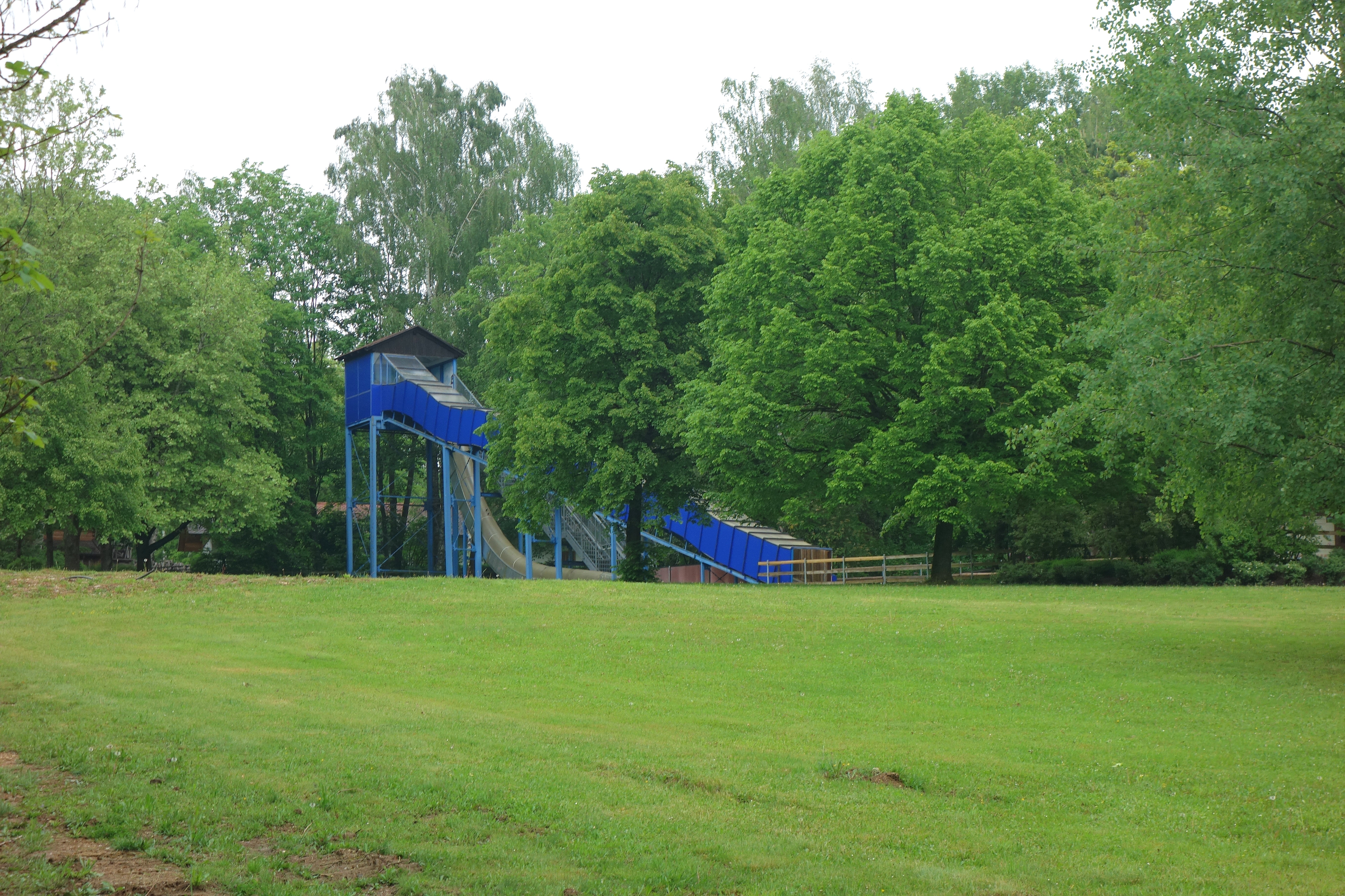 DSC07816