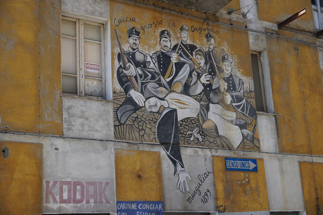 DSC08354.jpg