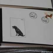 IMG-2672