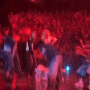 IMG 8260.gif