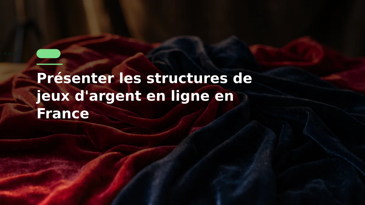 Présenter les structures de jeux d'argent en ligne en France