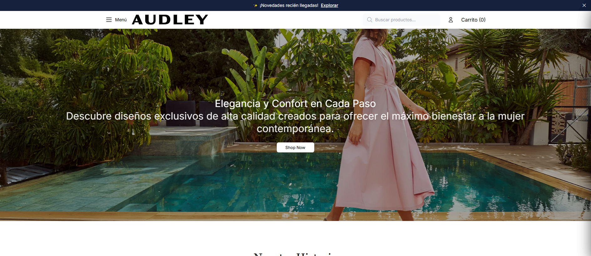 Stored capture of audleyshoesdirect.shop