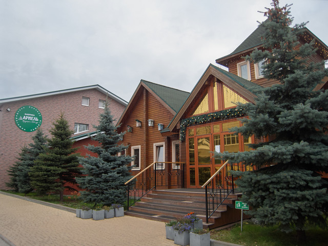 IMG-7882.jpg