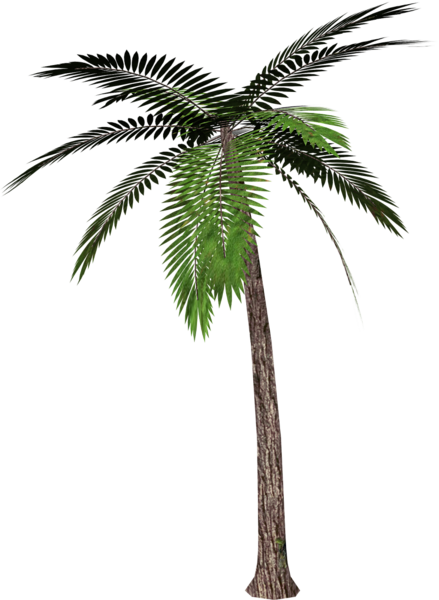 pngwing-com-5.png
