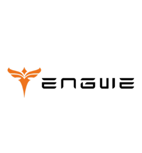 ENGWE Coupons and Promo Code