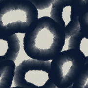 pp (79)