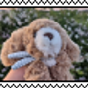 periwinkle stamp