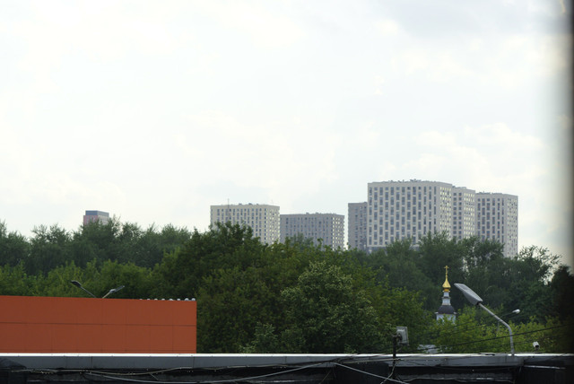 DSC5455.jpg