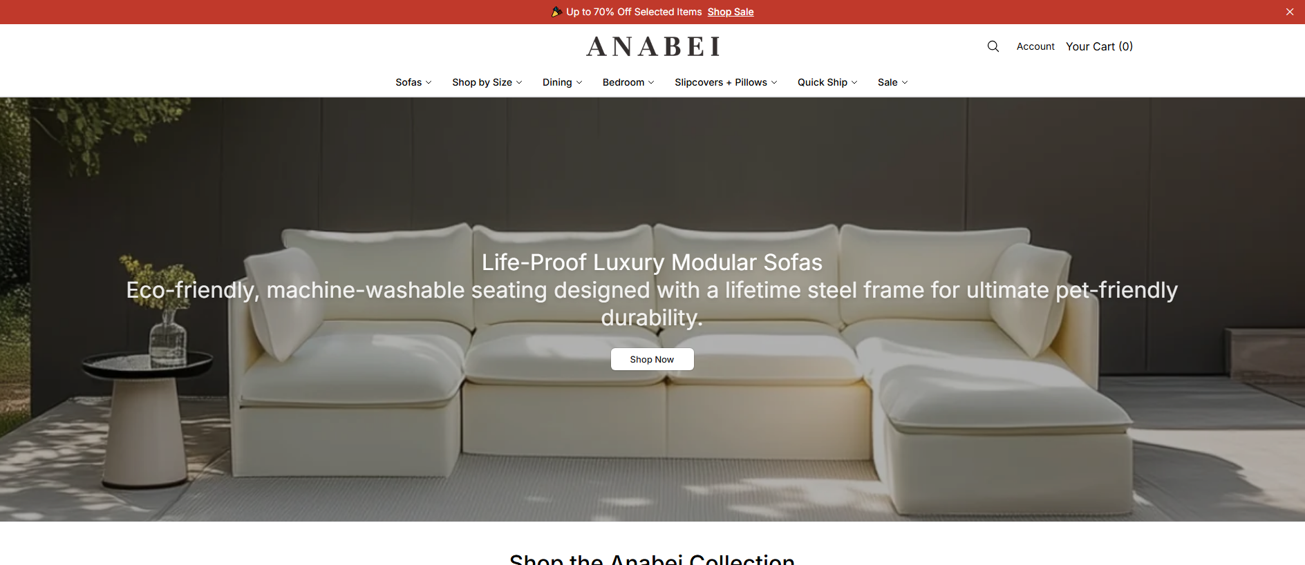 Stored capture of anaroost.shop