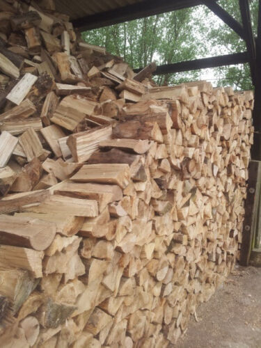 Holzstapel.jpg