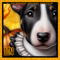 xcd-hb-sd2-avi-lin.gif