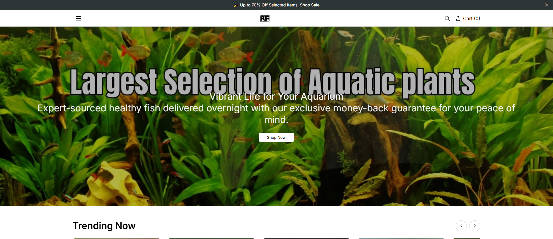 Stored capture of aquariumfishsupply.shop