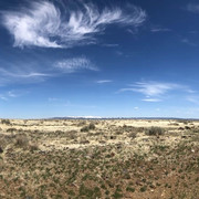 IMG-6202