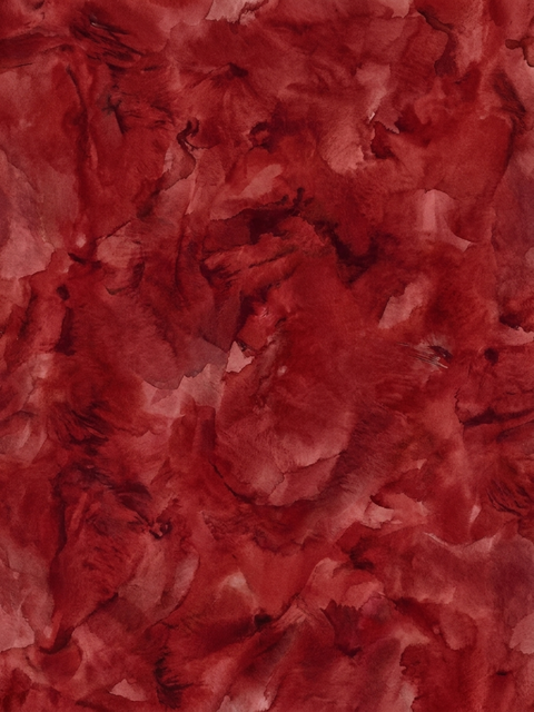 download (5).png