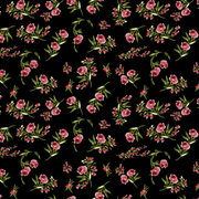 LM02