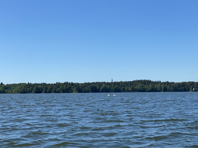 142819-A6-A083-4480-9-EA4-E8-DDD47-D7242