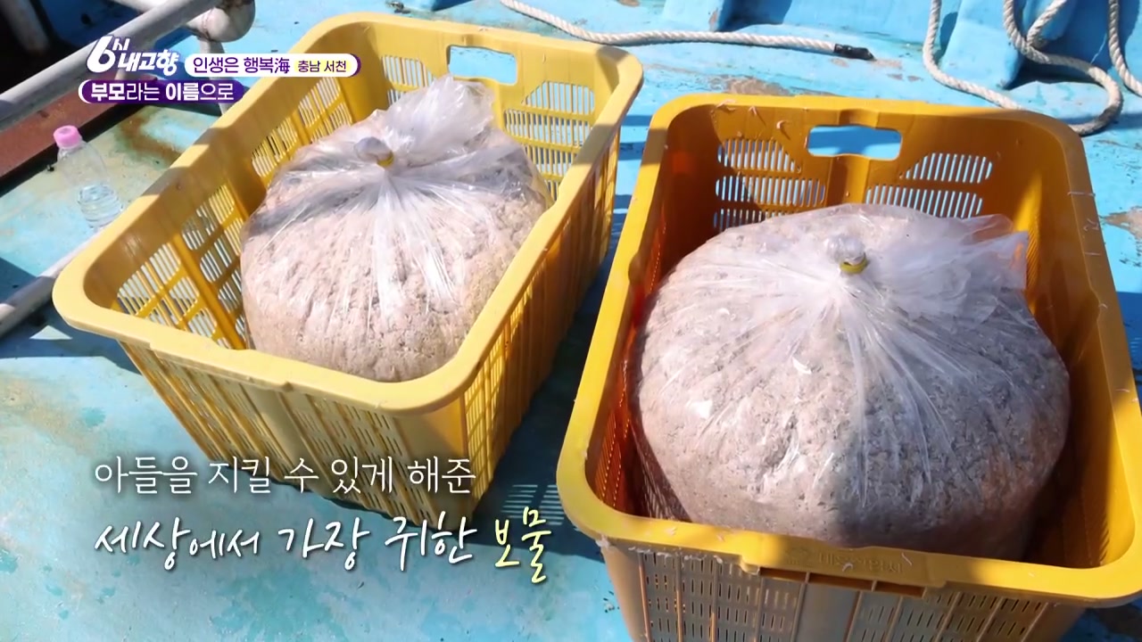 6시내고향 인생은 행복해 서천 자하젓 식당 추가 캡처 2