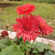 IMG-20260505-120932