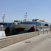 IMG 6161