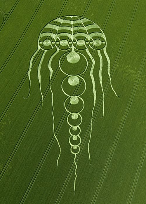 https://i.ibb.co/MDwxP2yk/circles-on-fields-52.jpg