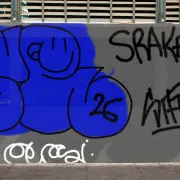 Graffiti artwork by SRAK