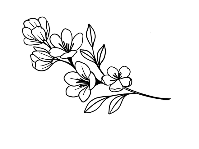 de4f5afd6b3bb4262c588abf9a4a4fc0.png
