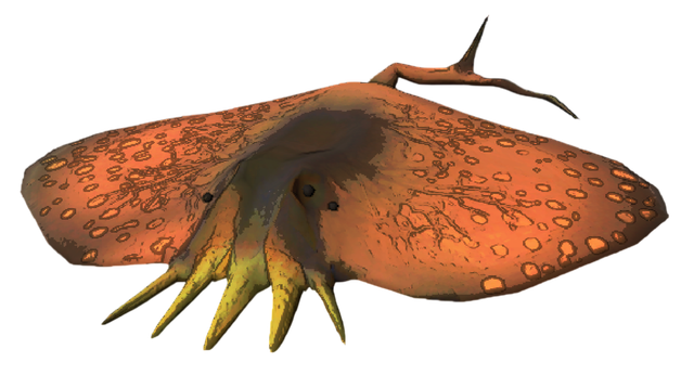 Mud Catfish