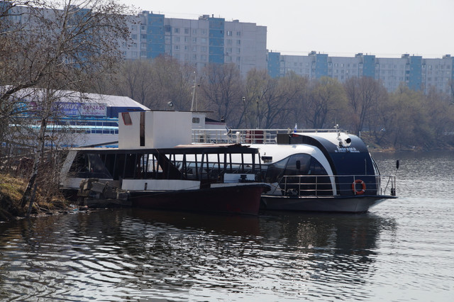 DSC03578.jpg