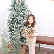 IMG-6571