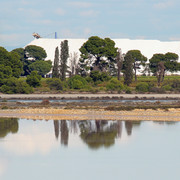 IMG-2406