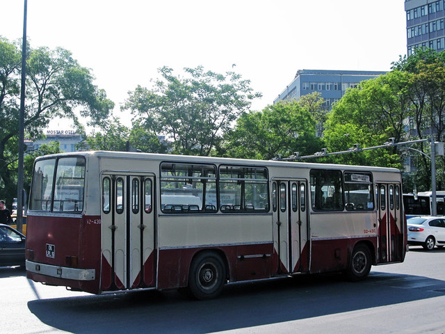 IMG-4966